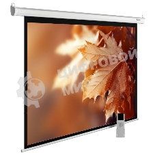 Экран Cactus 188x300 см MotoExpert CS-PSME-300x188-WT 16:10 настенно-потолочный рулонный белый (моторизованный привод)
