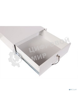 Полка (ящик) для документации 2U (ТСВ-Д-2U.450)