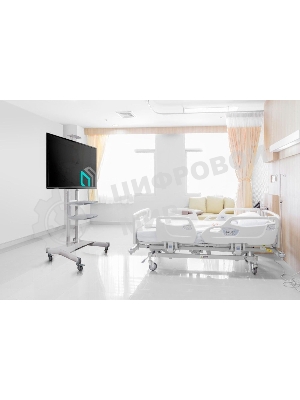 Стойка для телевизора с кронштейном ONKRON TS1881 50