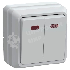 Выключатель 2-кл. ОП ОКТАВА с инд. 10А IP20 ВС20-2-1-ОБ белый IEK EVO21-K01-10-DC