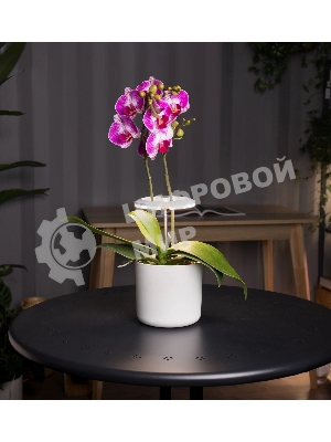 Светильник фито Cactus GARDEN светод. 7.5Вт цв.св.:белый (CS-LED-ORCHID)