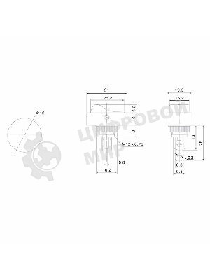 Выключатель клавишный Rexant 12V 20А (3с) ON-OFF черный ОВАЛ с зеленой LED подсветкой
