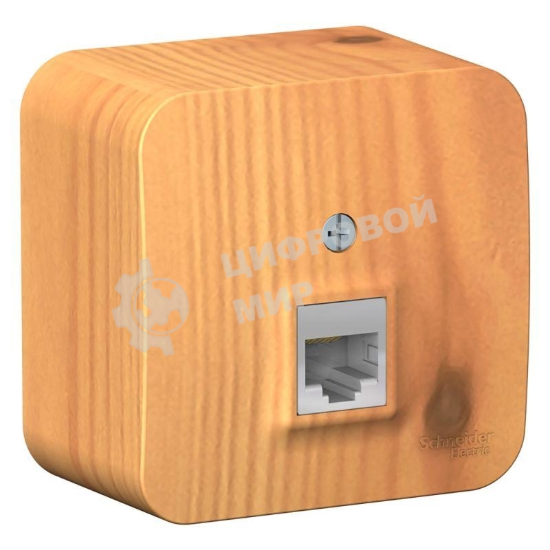 Розетка компьютерная 1-м ОП Blanca RJ45 кат.5e изол. пласт. ясень SchE BLNIA045005