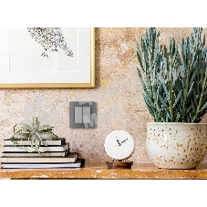 Выключатель 2-клавишный с подсветкой/индикацией 10AX 250 В алюминий