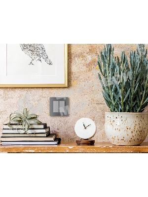 Выключатель 2-клавишный с подсветкой/индикацией 10AX 250 В алюминий