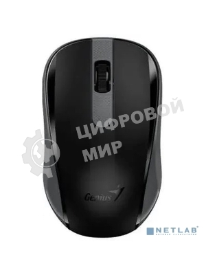 Мышь беспроводная Genius NX-8008S черный, 1200 dpi, радиоканал, USB, кнопки - 3