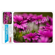 Коврик для мыши Buro BU-M20045 рисунок/цветы