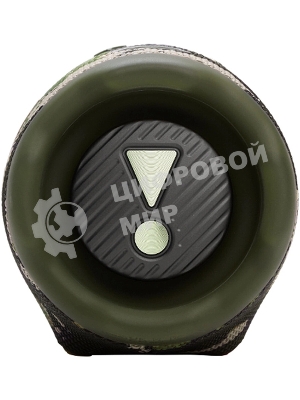 Портативная колонка JBL JBLCHARGE6SQUAD камуфляж