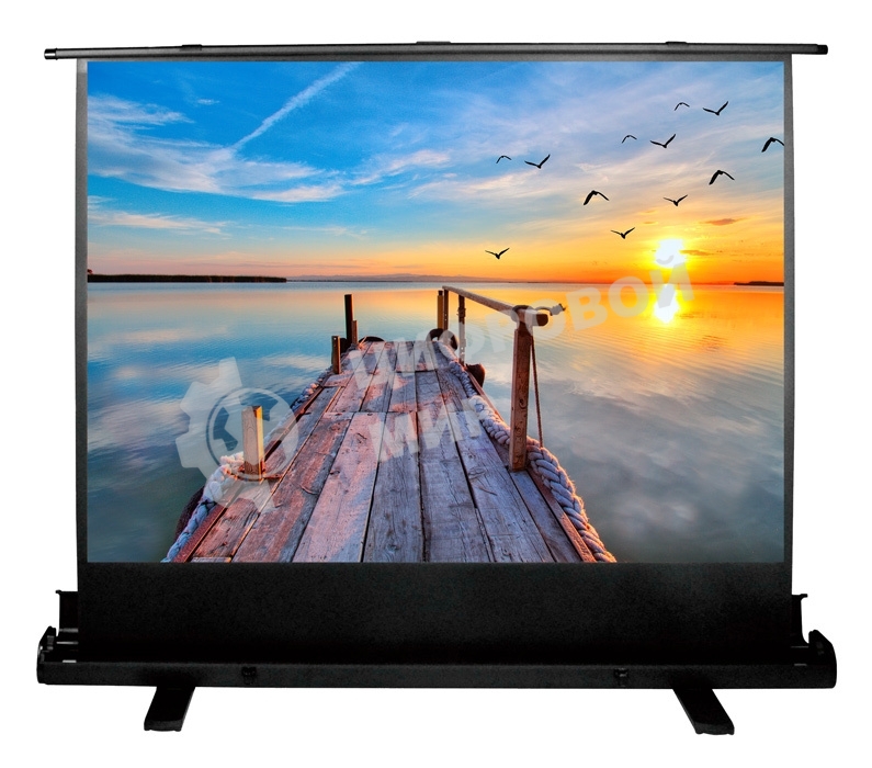 Экран Cactus 113x200 см FloorExpert CS-PSFLE-200X113 16:9 напольный рулонный