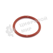 Кольцо уплотнительное на ЗУ 67315