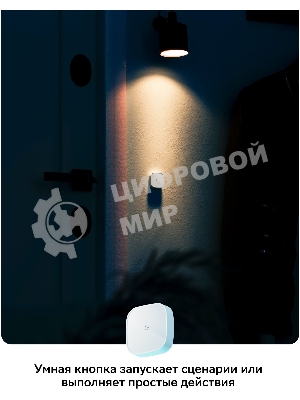 Умная кнопка СБЕР/SBER (SBDV-00032) 