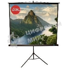 Экран 180x180см TriScreen 1:1 напольный рулонный черный 100'