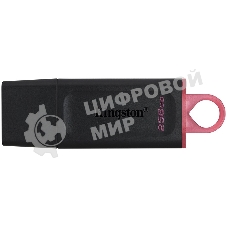 Флешка USB Kingston DataTraveler Exodia (DTX/256GB), 256Gb, USB 3.2 Gen 1, R/W 200/60, черный/розовый