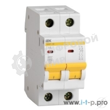 Выключатель автоматический модульный 2п C 6А 4.5кА ВА47-29 IEK MVA20-2-006-C
