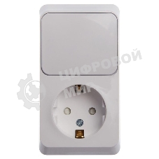 Блок Schneider-electric ЭТЮД О/У: Розетка с заземл. со шт. + Выключатель 1-клавиш., белый,