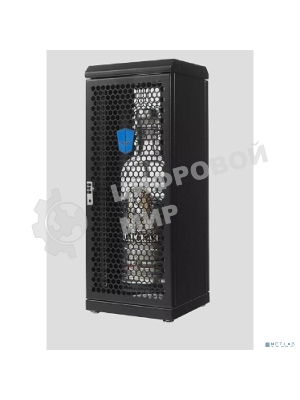 Шкаф сувенирный ЦМО ШТК-СП-С-8.1.1-9005, серверный