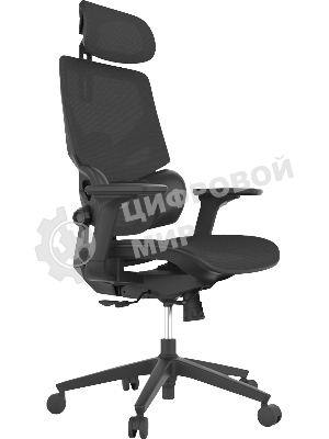 Кресло Cactus CS-CHR-MC01-BK черный, сетка, подголовник