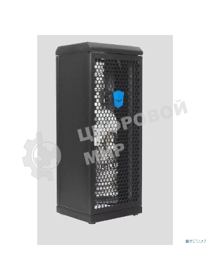 Шкаф сувенирный ЦМО ШТК-СП-С-8.1.1-9005, серверный