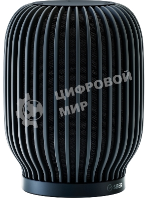 Умная колонка Sber SberBoom, 40Вт, стандартная, 1 динамик, Мультирум, Стереопара, Wi-Fi, Bluetooth 5.0, Салют, черный