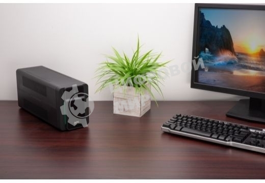 Источник бесперебойного питания APC Easy-UPS BVX900LI-GR 480Вт 900ВА черный