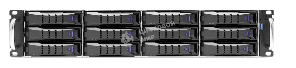 Серверная платформа AIC (Scutum) RSC-2ET_XE1 2U 12x3.5