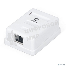 Розетка в сборе Cabeus, 1x RJ45(8P8C), кат. 6, экр., внешняя, белый, (WS-8P8C-Cat.6-SH-1)