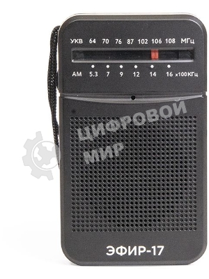 Радиоприемник портативный Сигнал Эфир-17 черный