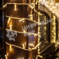 Гирлянда Neon-night Нить 10м, постоянное свечение, белый ПВХ, 230В, теплый белый