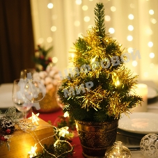 Гирлянда светодиодная Neon-night 