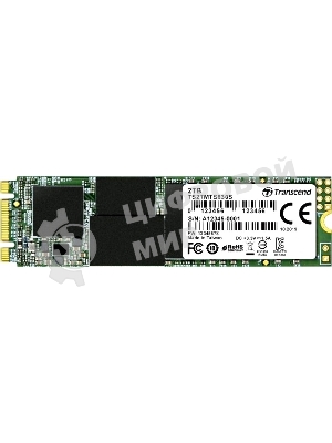 Накопитель SSD Transcend MTS830S, 2Tb, M.2 SATA III, R/W 560/520