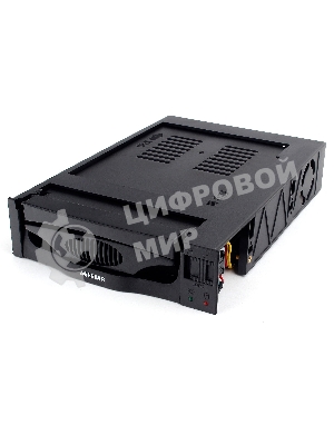 Сменный бокс для HDD AgeStar SR3P-SW-2F SATA пластик черный 3.5