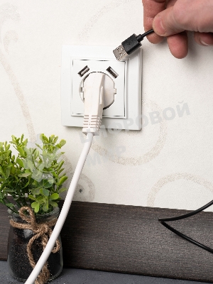 Розетка 1-местная СП с/з 16А белая с защ. штор. с 2 USB 2,1А EKF Минск