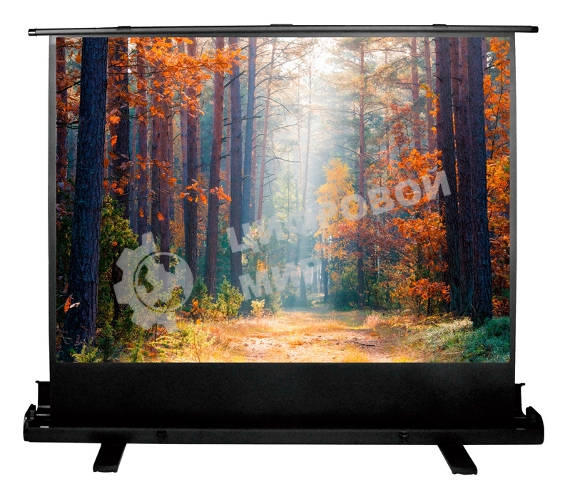 Экран Cactus 135x180 см FloorExpert CS-PSFLE-180X135 4:3 напольный рулонный