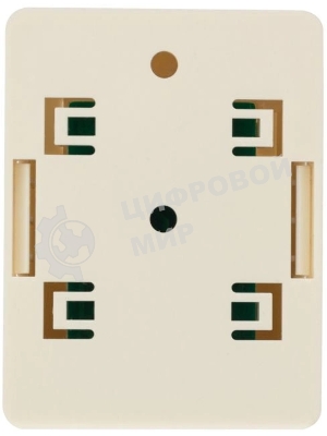 Розетка компьютерная Rexant 1-м ОП RJ45 CAT 5E бел.