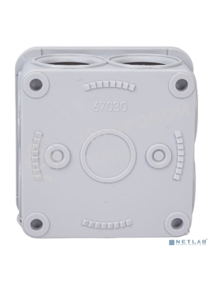 Рувинил 67030 Тусо. Коробка расп. для о/п, 70х70х40 мм, 7вводов, IP55 (св.-серая)