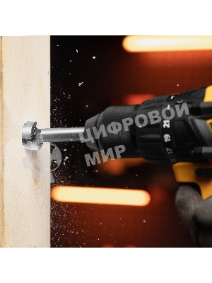 Набор сверл Форстнера по дереву Sparta 10-15-20-25-35 мм, 5 шт, в дерев. боксе, цилин. хвостовик