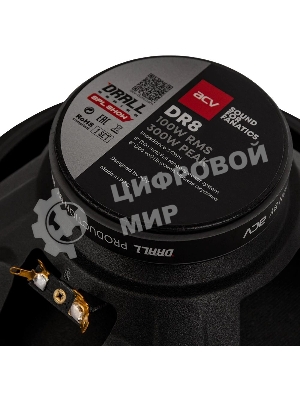 Колонки автомобильные ACV DRALL DR8 (без решетки) 300Вт 96дБ 3Ом 20 см (8 дюйм) (ком.: 2 кол.) широкополосные однополосные