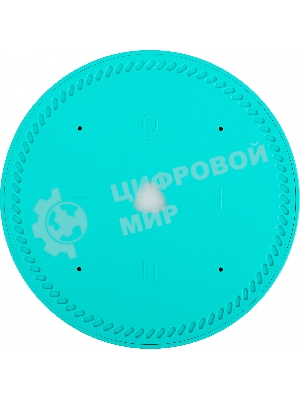 Умная колонка Яндекс Станция Лайт, 5Вт, компактная, 1 динамик, Алиса, Wi-Fi, Bluetooth, мята