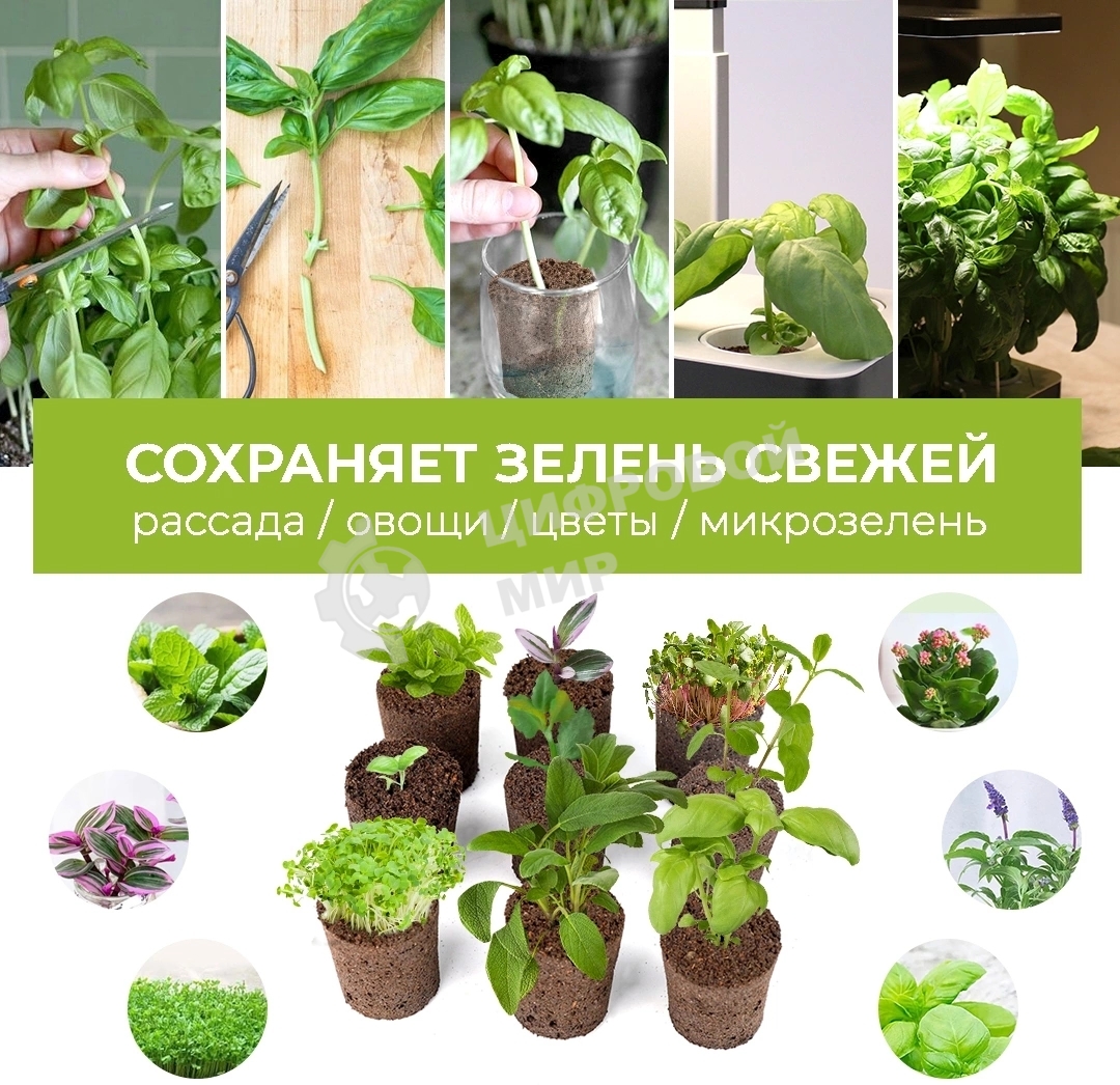 Набор питательных губок Cactus CS-SPONGE-10 для проращивания для CS-LEDPOT-06/08/10 (упак.:10шт) пакет