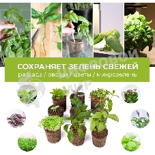 Набор питательных губок Cactus CS-SPONGE-11 для проращивания для CS-LEDPOT-11/SMARTPOT-11 (упак.:11шт) пакет