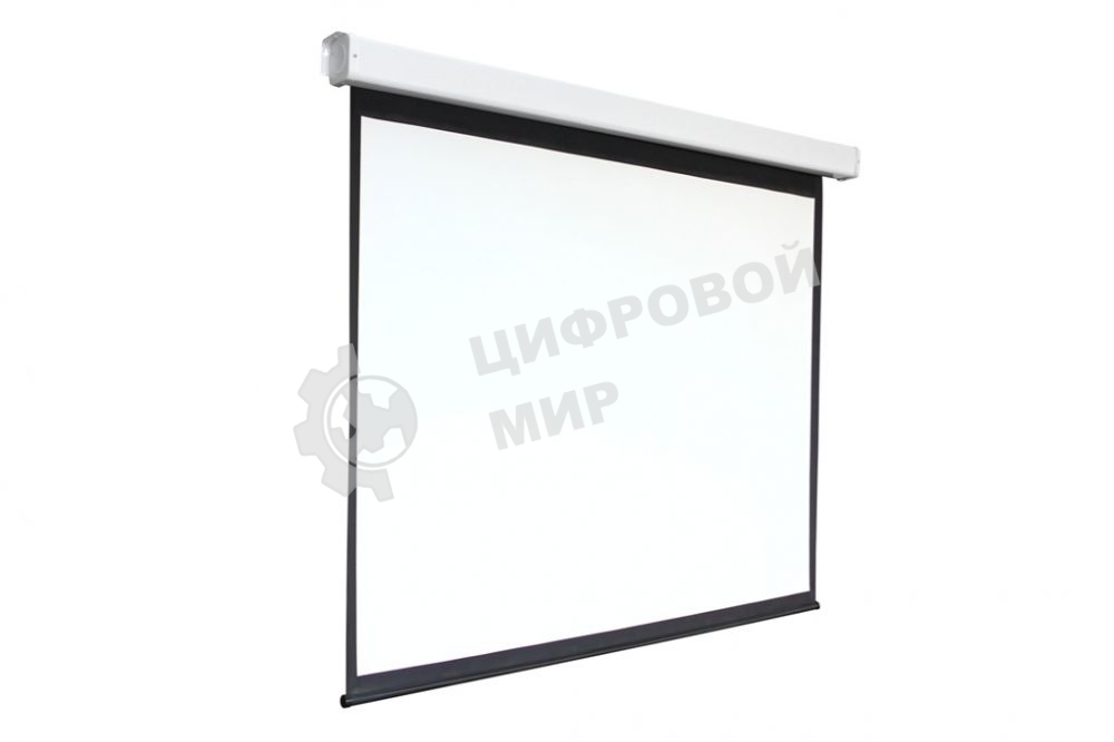 Экран 168x300см Digis Electra-F DSEF-16906 16:9 настенно-потолочный рулонный (моторизованный привод)
