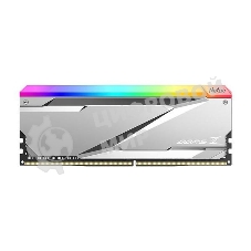 Оперативная память NETAC, DDR5, 32GB (2x16 GB), 7600 MHz, CL36, DIMM, ECC, радиатор, RGB, серебристый