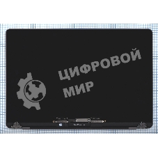 Матрица в сборе (дисплей) для MacBook Pro 16 Retina A2141 Late 2019 серый Space Gray