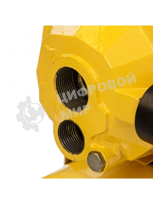 Насосная станция Denzel PSD800C эжекторная 800Вт 2400л/ч ресивер 24л всасывание 20м