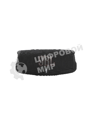 Портативная акустическая система JBL Charge 5 (Black)