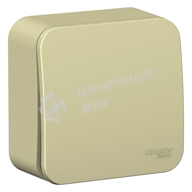 Переключатель 1-клавишный (cх.6) изолир. пластина 10А, 250B SE Blanca наруж Беж