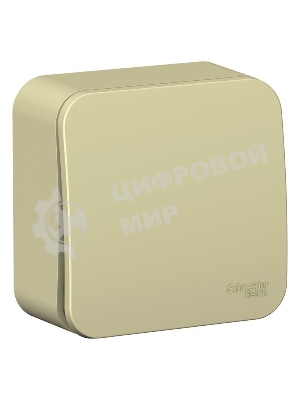 Переключатель 1-клавишный (cх.6) изолир. пластина 10А, 250B SE Blanca наруж Беж