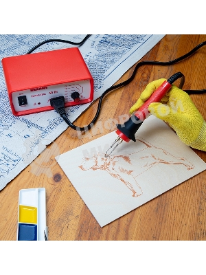 Универсальный выжигательный прибор Rexant с функцией термоконтроля 220V/40W