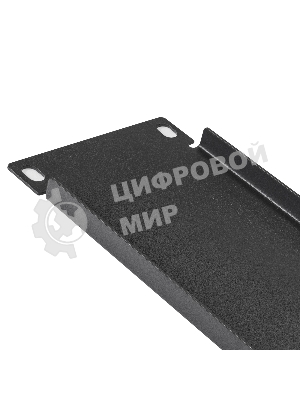 Заглушка (фальш-панель) ExeGate FP19-2UM (19