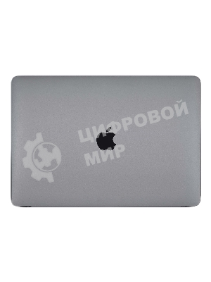 Матрица в сборе (дисплей) для MacBook Air 13 Retina A1932 Late 2018 Space Gray OEM